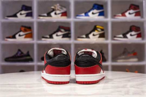 NIKE SB DUNK LOW J-PACK CHICAGO - NK35