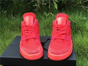 Air Jordan 4 Flyknit - AJH094